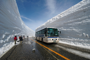 Bus in Ice