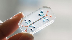 EIT Stock Image