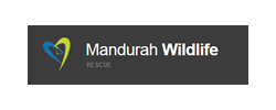 Manduarah Wildlife Rescue