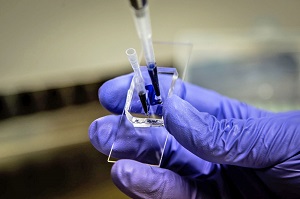 EIT Stock Image