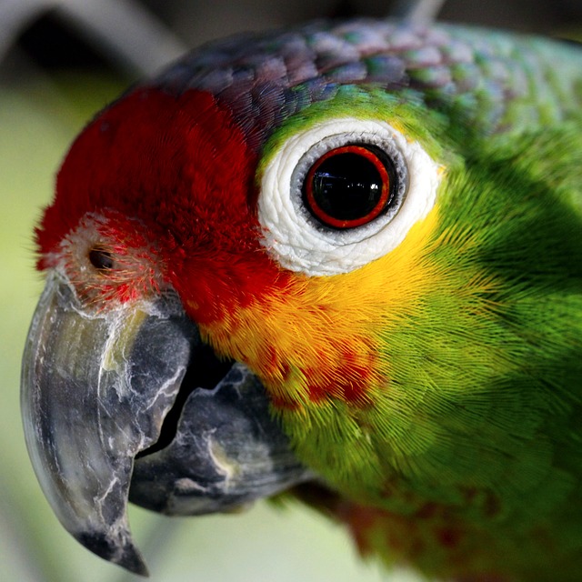 EIT Stock Image